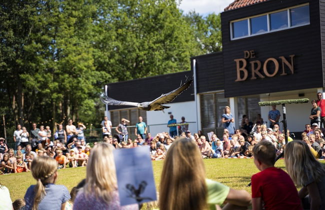 Beautiful Holiday Home in Limburg - Photo 13