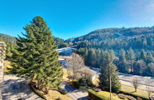 La Bresse Nature and Glisse - Foto 13