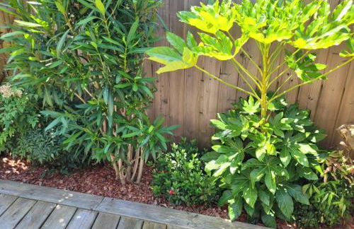 Cocon entre presqu'île du Cap Ferret et plages océanes - terrasse - 1 vélo gratuit - Foto 7