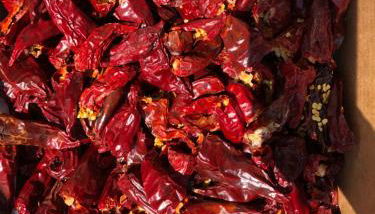 Un écrin dans la nature - Photo 3