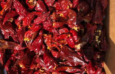 Un écrin dans la nature - Foto 3