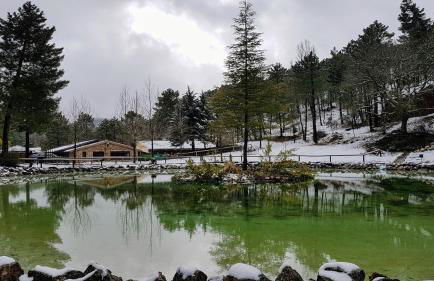 La cabaña del lago en ZAFIRO LAGUNAZO Parque Natural del Río Mundo - Foto 61