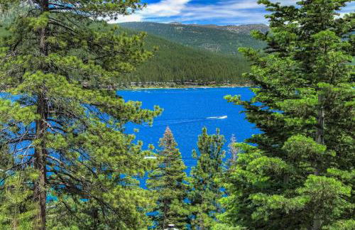 Stunning Views at Stargazer - Lakefront Studio - Photo 39