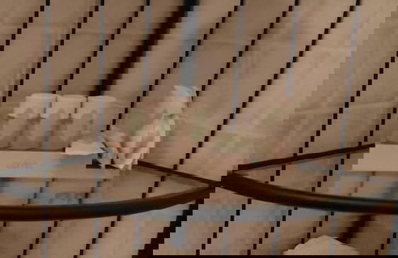 Il Sottano del Conte - Photo 11