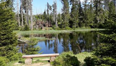 Ferienhaus Schachtenbach - Foto 2