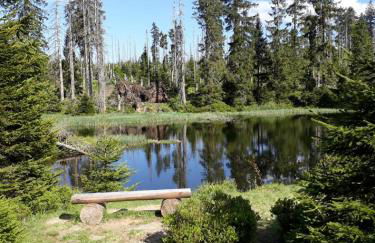 Ferienhaus Schachtenbach - Foto 13