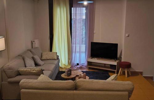 Διαμέρισμα παραποτάμια Νάουσα - Foto 20