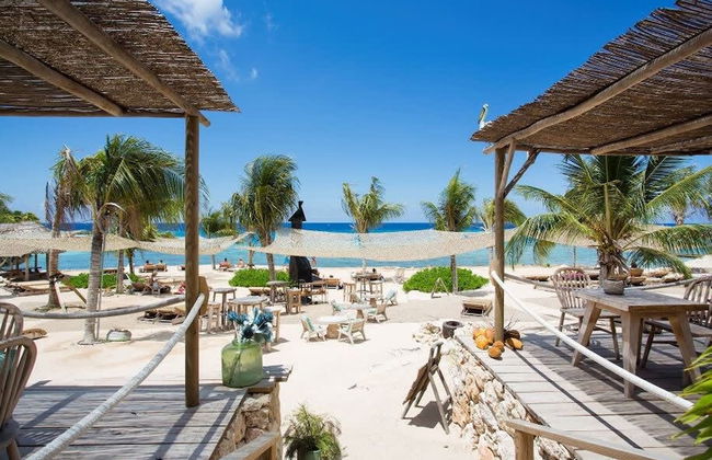 Tropical Escape With Pool and Ocean Views - Photo 33