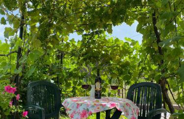 Studio apartment Adrijana - Photo 10