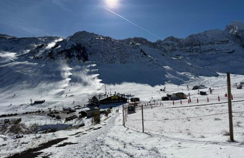 Apartahotel Canfranc - Foto 108