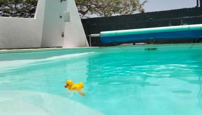 Aptos con piscina El Flamboyán 1 - Photo 5