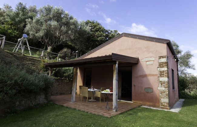 Agricontura - Foto 52