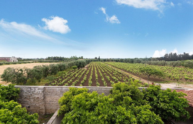 Casina Farnarari - Photo 40