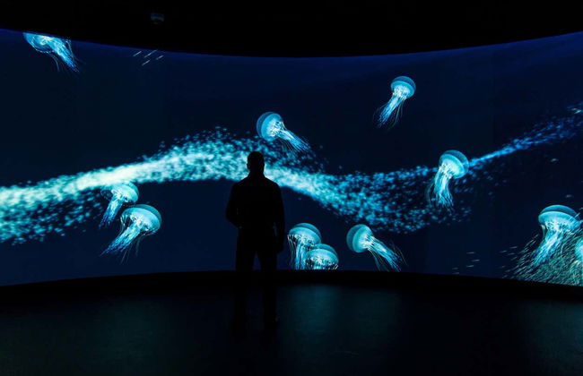 Entrada al Museo de la Ciencia de Miami - Foto 6