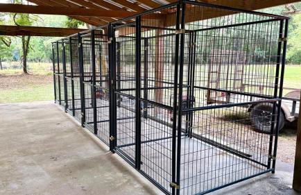 Country Retreat with ponds-views-porches & pups - Foto 45