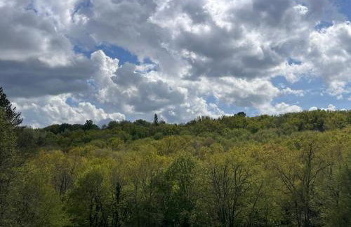 Blue Horizons Farm - Countryside Gîte - Pet Friendly - Sleeps 8 - Foto 42