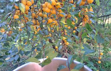 Appartment II Dwor Kuflew - Foto 20