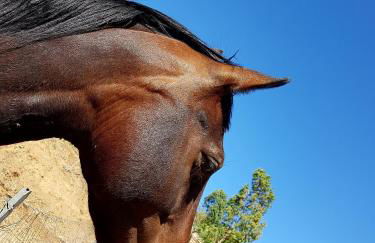 Agriturismo Chiai Francesco - Foto 78