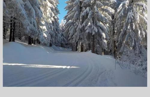 Ferienwohnung Konzell - Foto 12