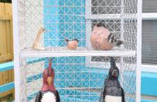 Lake Worth Beach Paradise Cove Cottage 2-1Bedroom - Foto 60