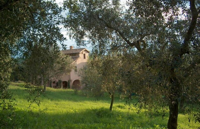 Agriturismo Terrasabina - Foto 40