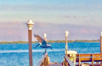 W-Bright PaG Island Rental - Walk to Beach - Bikes - Foto 26