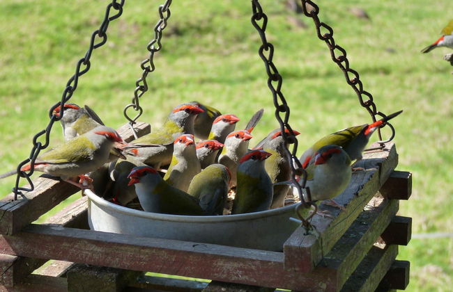 Bellthorpe Stays - Foto 48