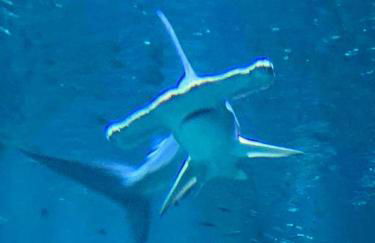 Appartement de 95 m2 bien situé - Foto 32