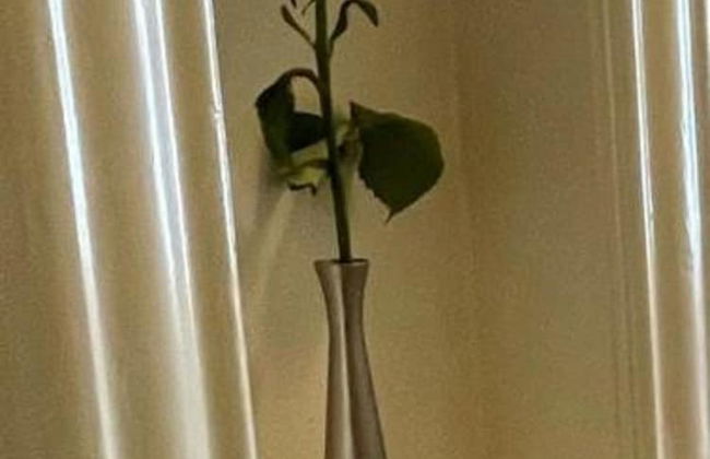 Powell Place at Nob Hill - Photo 17