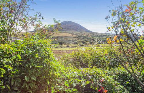 2 Bed in Dinas oc-d32708 - Foto 4