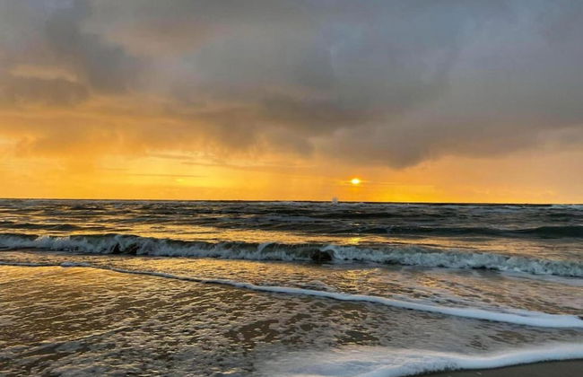 Holiday Home Egmond Near Beach - Foto 34