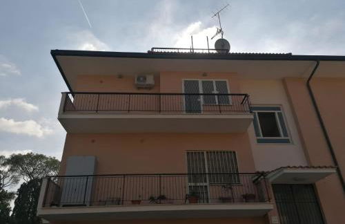 Pictadomus-viridis - Foto 24