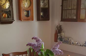 Żuławska Chata - Foto 26