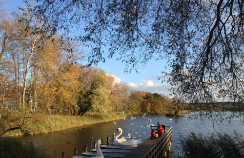 Steinbock-Ferienwohnungen - Foto 19