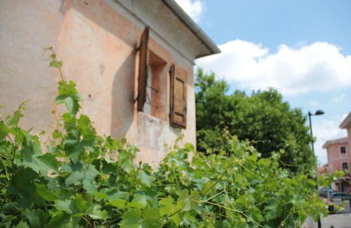Alla vigna - Foto 1