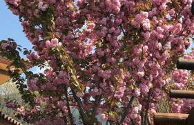 Agriturismo a casa di Susanna - Foto 48