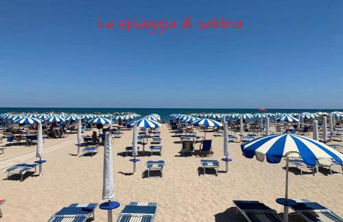 Conero-Alba al Mare-Stella-Bilocale e Corte - Photo 20