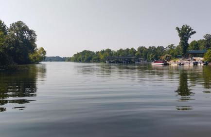 LAKEFRONT Home at Lake Chickamauga! Walk to the Marina! - Foto 44