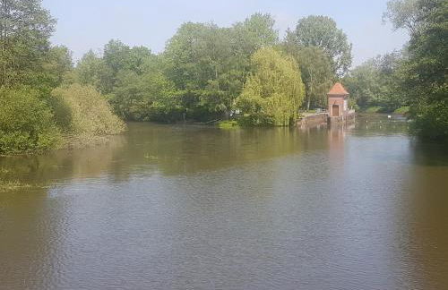 4 Sterne Ferienhaus "Vorwerk" - Foto 41