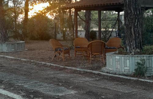 Costa Mama VIlla - Photo 49