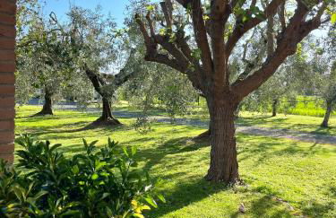 Agriturismo Valdo - Foto 48