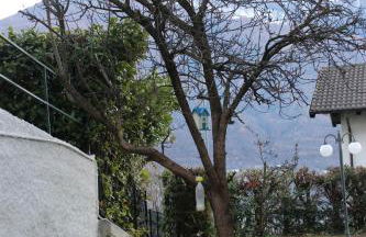 Villa Alice - Photo 19