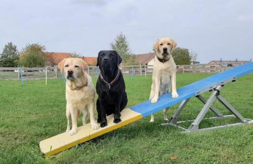 Ferienhaus S`bunde Heisle - Foto 36