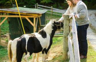 LUXURY!! Hot Tub, Pool Table, River & Petting zoo? - Foto 55