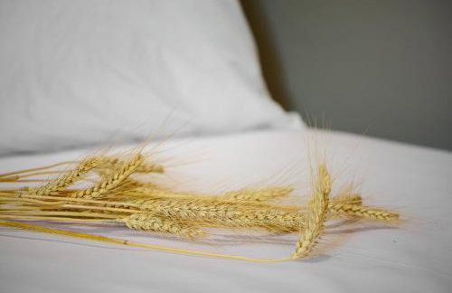 NikoleTakis Apartments - Foto 9