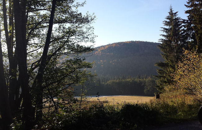 Ski-Lake Cottage Nízke Tatry - Foto 38