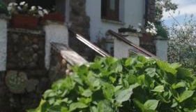 Apartamento en casa rural con amplio jardín a 5 min de la playa Situación inmejorable - Foto 3, Garden, Garden view, pet friendly