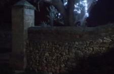 La Petraia - Foto 33