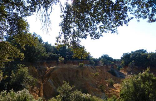 Apartmani Milena - Foto 73