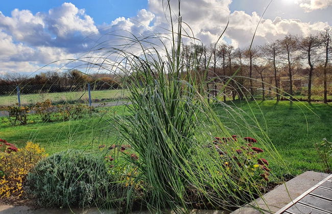 Fantastic House, Located Among Meadows and Nature, Near the Sea - Photo 46